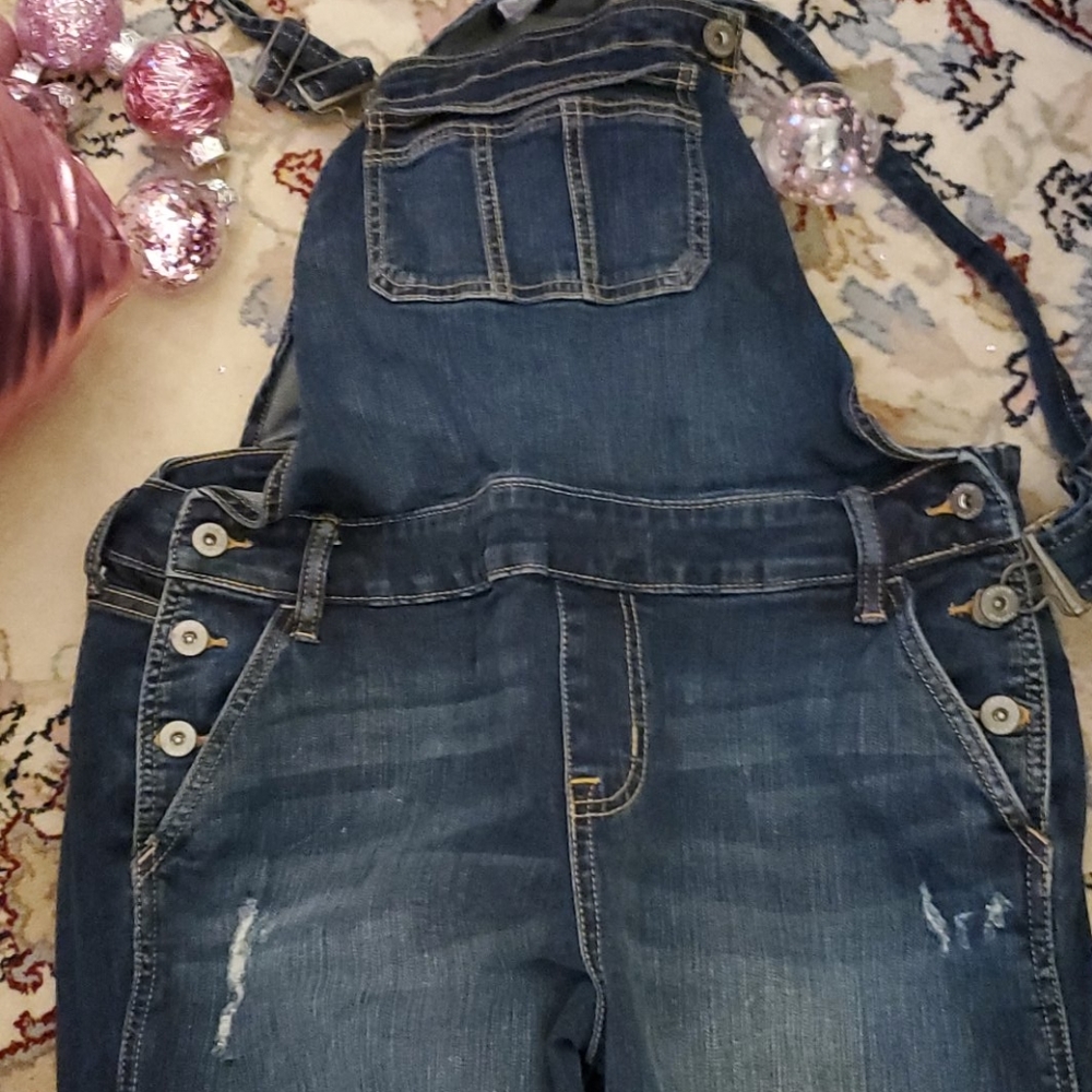 Torrid farm coveralls distressed sz. 12